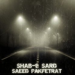 دانلود آهنگ سعید پاک فطرت شب سرد